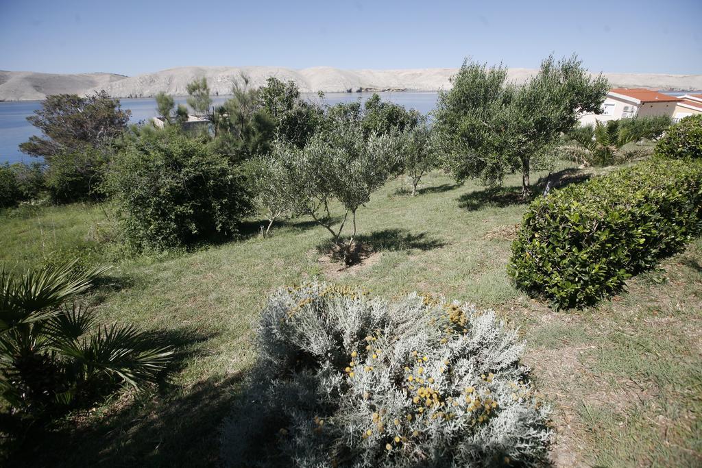Apartments Roza Miškovići Kültér fotó